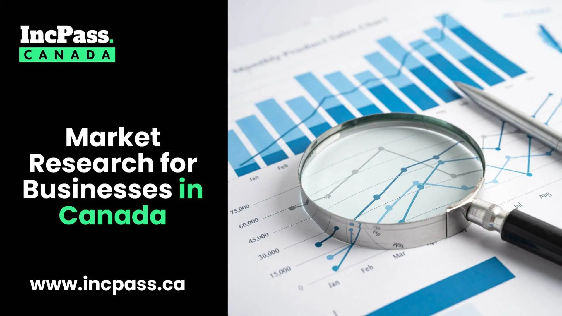 market research for businesses in canada