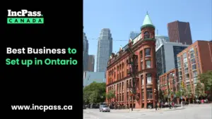 best business to setup in ontario